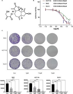 Cynaropicrin Shows Antitumor Progression Potential in Colorectal Cancer Through Mediation of the LIFR/STATs Axis